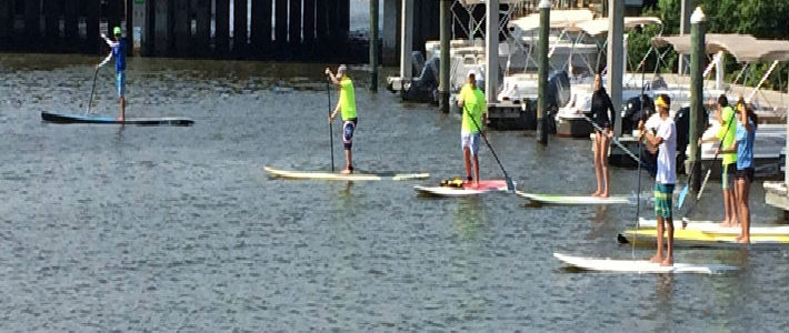 Get Fit and See the Sights On a Paddleboard in Naples, FL